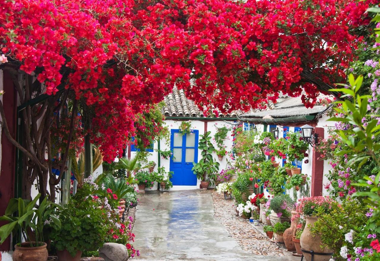 코르도바 Casa Turistica San Agustin 아파트 외부 사진