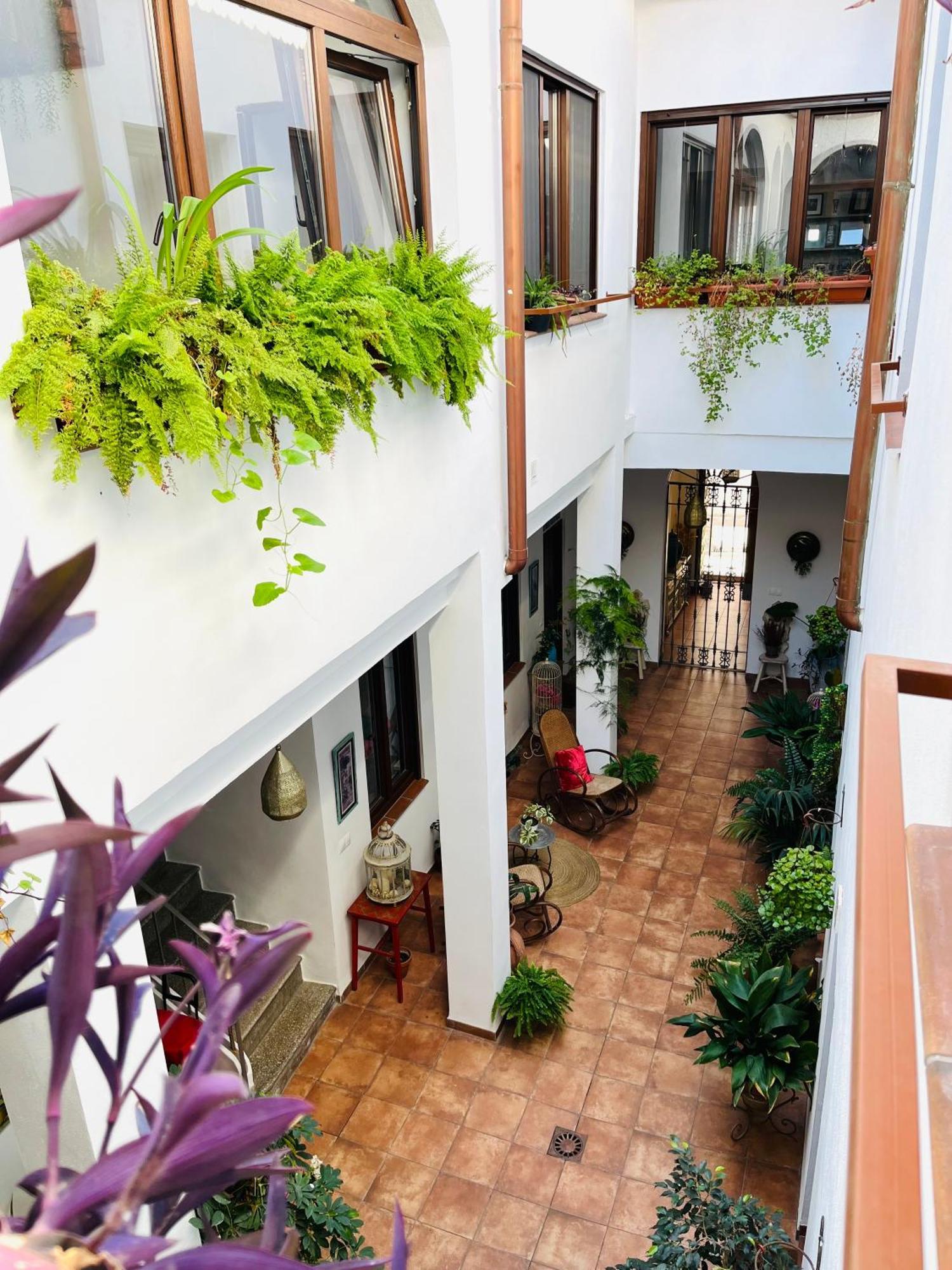 코르도바 Casa Turistica San Agustin 아파트 외부 사진
