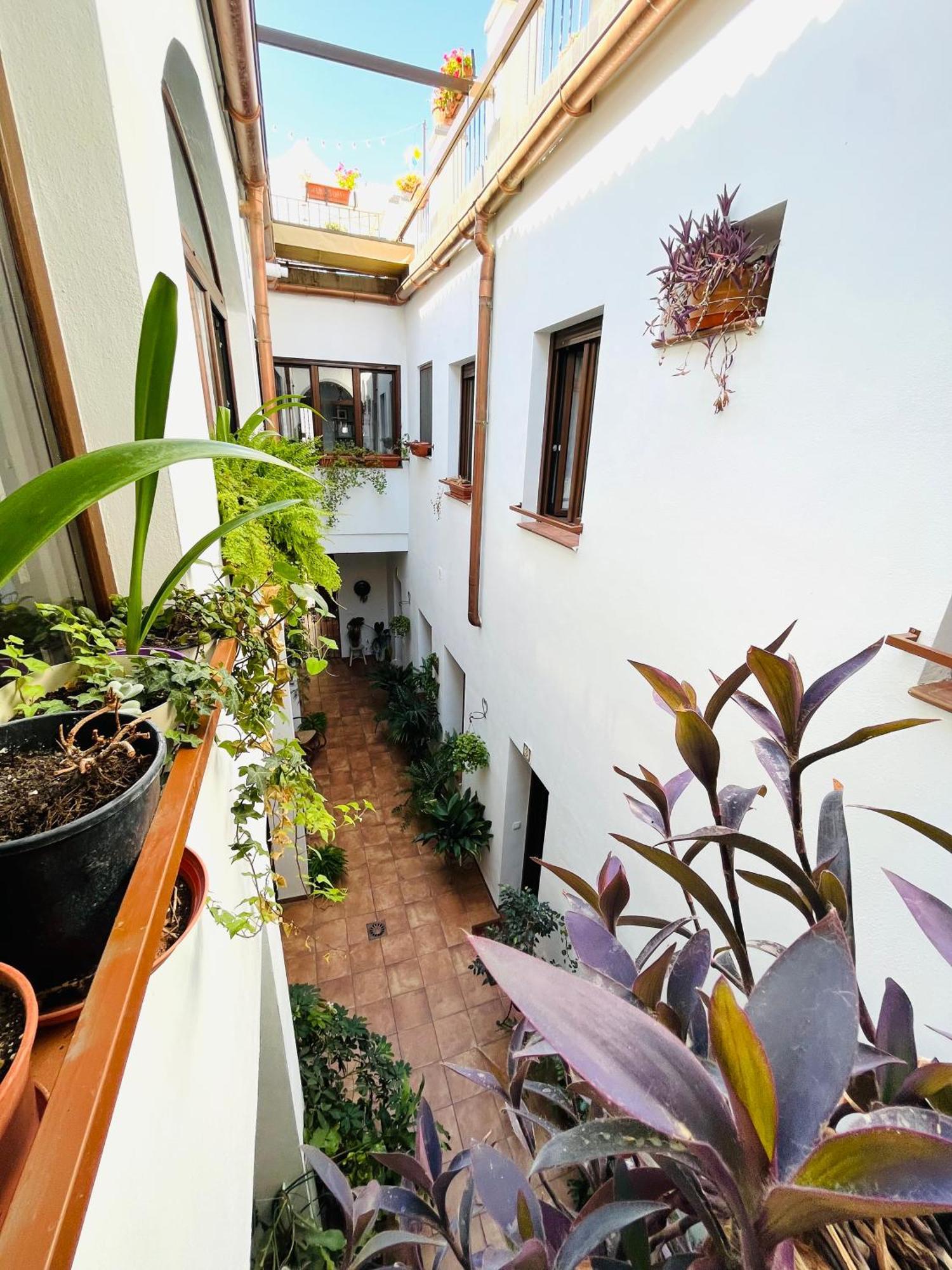 코르도바 Casa Turistica San Agustin 아파트 외부 사진